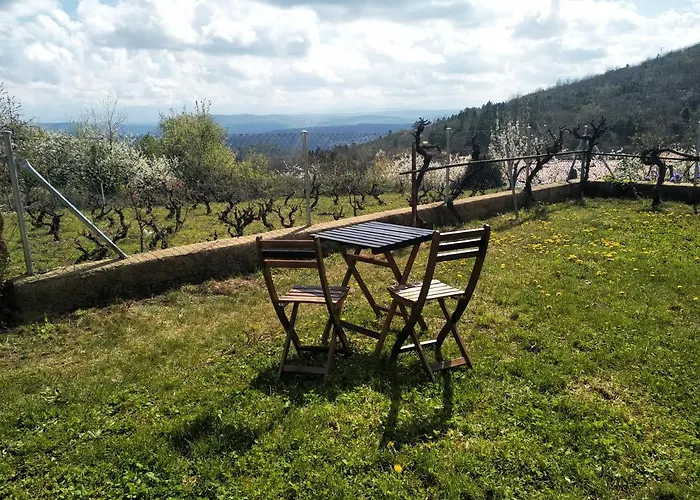 An'ca' La Pura Villanueva del Conde